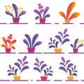 Seamless Pattern of Various Potted Homeplants