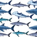 Seamless pattern with various sharks, great white shark, hammerhead shark and other. Vector illustration in engraving style