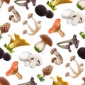 Seamless pattern of various species edible mushrooms