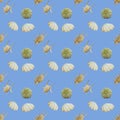 Seamless pattern  Various types of seashells on pastel background Royalty Free Stock Photo