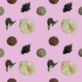 Seamless pattern  Various types of seashells on pastel background Royalty Free Stock Photo