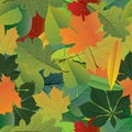 Seamless pattern. Vector of autumn colorful leaves