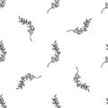 Seamless pattern Vector Botanical illustration of a plant branch. Hand-drawn flower in black and white with a thin brush