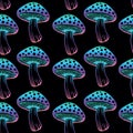 Seamless pattern. Vector flat fly agaric mushroom black background. amanita Royalty Free Stock Photo