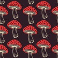 Seamless pattern. Vector flat fly agaric mushroom dark background. amanita Royalty Free Stock Photo