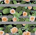 Seamless pattern Vector floral watercolor design: garden cream r Royalty Free Stock Photo