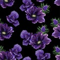 Seamless pattern Vector floral watercolor style design: garden violet Anemone flower branch with greenery leaves. Royalty Free Stock Photo