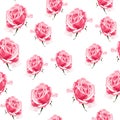 Seamless pattern vector floral watercolor style design, pink roses bud. Rustic romantic background print.