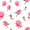 Seamless pattern vector floral watercolor style design, pink roses bud. Rustic romantic background print. Royalty Free Stock Photo