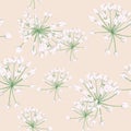 Seamless pattern Vector floral watercolor style design: white wild herbs. Rustic romantic background print Royalty Free Stock Photo