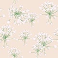 Seamless pattern Vector floral watercolor style design: white wild herbs. Rustic romantic background print