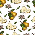 Seamless pattern vector hand made sketch illustration of engraving pear Royalty Free Stock Photo