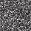 Black and white background, terrazzo floor Royalty Free Stock Photo