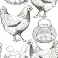 Seamless pattern vector illustration chicken, eggs in the basket vector illustration