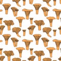 Seamless pattern. Vector illustration. Doodle drawing of mushrooms - chanterelles