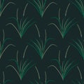 Seamless plant pattern Royalty Free Stock Photo