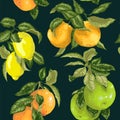 Seamless pattern in vector realistic illustration with pomelo, orange, grapefruit and lemon in bright colors