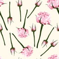 Seamless pattern of vector watercolor style pink bud of roses. Illustration of flowers.