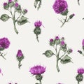 Seamless pattern with vector watercolor thistle