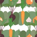 Seamless pattern of vegetables. Beets, carrots, garlic, onions. Stock vector illustration eps10.