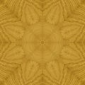 Seamless pattern, veneer ash Royalty Free Stock Photo