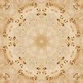 Seamless pattern, veneer poplar root