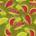 Seamless pattern with Venus Flytrap or Dionaea muscipula on the dark green background.