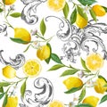 Seamless Pattern with vintage barocco design with yellow Lemon Fruits, Floral Background with Flowers, Leaves, Lemons Wallpaper Royalty Free Stock Photo