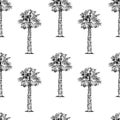 Seamless pattern vintage hand drawn illustration with palm tree in engraving style. Sketch of a tree isolated on white for design