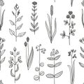 Seamless pattern with vintage original line art meadow plants. Royalty Free Stock Photo