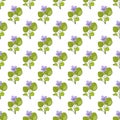 Seamless pattern with viola mirabilis medicinal plant.