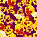 Seamless pattern with violas tricolor