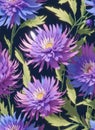 Seamless pattern with violet aster flowers illustration. mobile wallpaper design Royalty Free Stock Photo