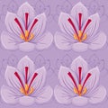 Seamless pattern. Violet background.saffron flowers