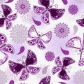 Seamless pattern with violet flying butterflies Royalty Free Stock Photo