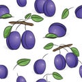 Seamless pattern - Violet plums