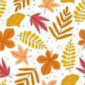 Seamless Pattern With Vivid Autumn Leaves In Rich Hues, Forming An Enchanting Arrangement Cartoon Vector Illustration Royalty Free Stock Photo
