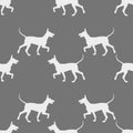Seamless pattern. Walking mexican hairless dog puppy isolated on gray background. Dog silhouette. Endless texture