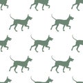 Seamless pattern. Walking mexican hairless dog puppy isolated on white background. Dog silhouette. Endless texture