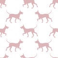 Seamless pattern. Walking mexican hairless dog puppy isolated on white background. Dog silhouette. Endless texture