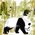Seamless pattern with walking pandas in the bamboo forest.