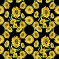 Seamless pattern wallpaper digital peiper sunflower watercolor