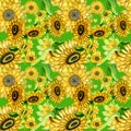 Seamless pattern wallpaper digital peiper sunflower watercolor