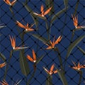 Seamless pattern wallpaper of tropical bird of paradise flowers with the cage on dark blue background color ,Design for fashion, Royalty Free Stock Photo