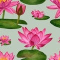 Seamless pattern with water lilies. Pink lotuses.
