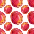 Seamless pattern with watercolor apricot. Red, yellow, orange hand-drawn fruit on white. Sweet dessert summer food