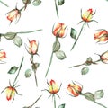 A seamless pattern with the watercolor beautiful red and yellow roses on a white background Royalty Free Stock Photo