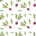 Seamless pattern with watercolor beet and arugula. Hand drawn illustration is isolated on white. Vegetables