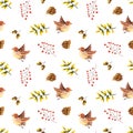 Seamless pattern with watercolor birds, leaves, rowan, acorn, cone. Illustration isolated on white. Hand drawn autumn items Royalty Free Stock Photo