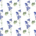 Seamless pattern watercolor blue flower campanula bell on white. Hand-drawn plant. Creative nature realistic background